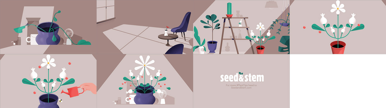 seedandstem01