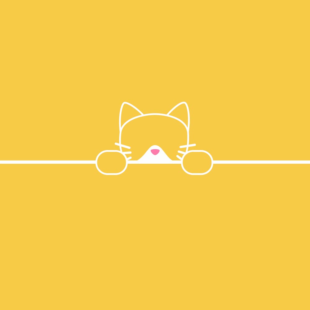 Cat Cuttle